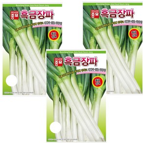 아시아흑금장파 10g 파씨앗, 3개