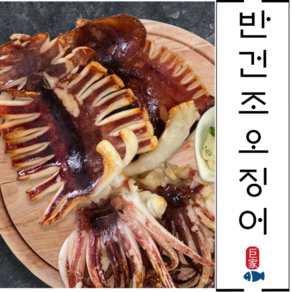 반건조오징어 1kg 파지 10미내외 동해안 해풍건조 피데기