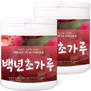 국내산 제주산 백년초 가루 300g 백년초열매차 백년초분말