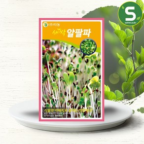 솔림텃밭몰 새싹알팔파씨앗 12g 새싹알팔파 알파파 새싹채소씨앗