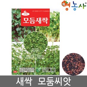 모듬새싹 씨앗 30g 영농사, 1개