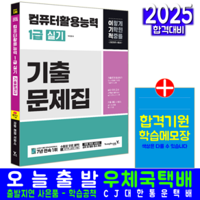 컴활 1급 실기 기출문제집 교재 컴퓨터활용능력 책 2025