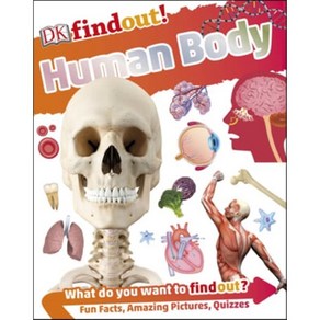 DKfindout! Human Body