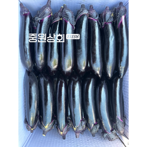 국내산 못난이 가지 1kg 5kg 당일경매, 1개, 못난이 가지(5kg내외)