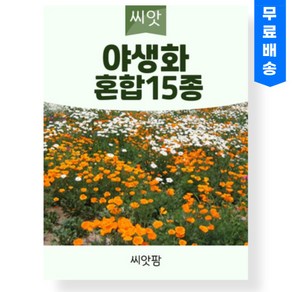 야생화 씨앗 꽃씨 혼합15종 (100g) 꽃잔디