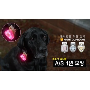 나이트가디언P 반려견 야간 산책 LED 야광 목걸이 클립형 USB 펜던트 방수 후레쉬 강아지 멍멍이, 3개