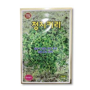 친환경마켓 청치커리 씨앗 (1500립) - 치커리 씨앗 텃밭 주말농장, 1개