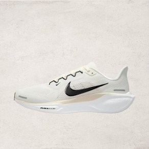 {매장정품} NIKE W 페가수스 41 FD2723-108 313633