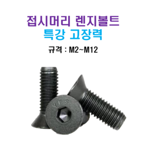 특강 고장력 접시머리 렌지볼트 M2~M12 너트 와셔