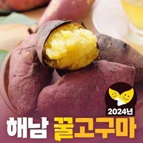 24년 햇 해남 꿀고구마 베니하루카 햇고구마 해남고구마 밤고구마 (2kg/3kg/5kg/10kg), 1박스, 2kg(한입) 비세척