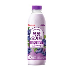 마시는 요구르트 서울우유 블루베리의 상큼함 750ml, 4개