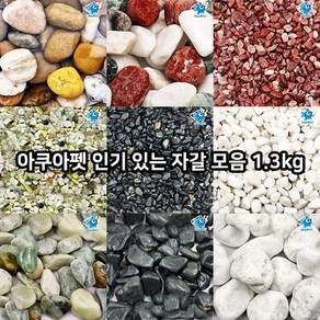 아쿠아펫 있는 자갈모음 1.3kg, 흑자갈(15~20mm), 1개