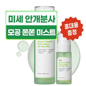 성분에디터 그린토마토 오로라 모공미스트 120ml+50ml 세트, 1개, 170ml