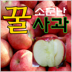 [산지직송] 2024년 햇사과 부사 소미네 사과, 1박스, 01.사과 가정용 소과 5kg