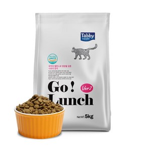 테비 고(Go)런치 고양이사료 5kg, 1개