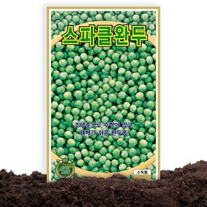 KS종묘 스파클완두콩 씨앗 50g 조생종 스파클 완두콩씨 종자, 1개