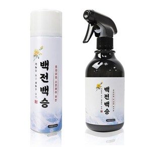 딜온 백전백승 프리미엄 스프레이체인+성에제거제 1세트, 1개, 500ml