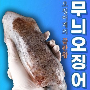 동해안 무늬오징어 1kg 3~5미 생물오징어 통찜 숙회, 1박스