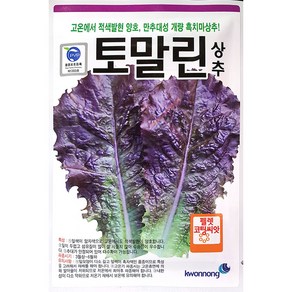 토말린 상추씨앗 300립 권농종묘 24년 코팅상추, 1개