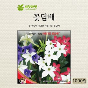 세계종묘 꽃담배 씨앗 1000립, 1개