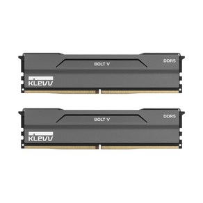 [에센코어] KLEVV DDR5 PC5-48000 CL30 BOLT V 서린 [32GB (16GB*2)] (6000), 2개