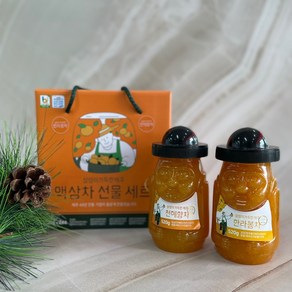 [당근말밥제주] 설렘이 가득한 제주 한라봉차 + 천혜향차 액상차 선물세트 520g x 2병입 / 한라봉청 + 천혜향청, 2개