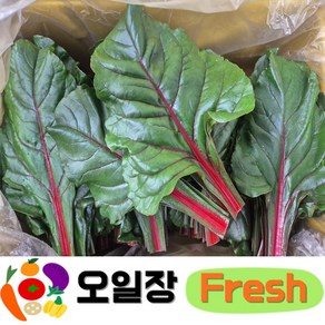 ( 오일장프레시 1호점 ) 국내산 적근대 1kg 2kg 내외, 1박스
