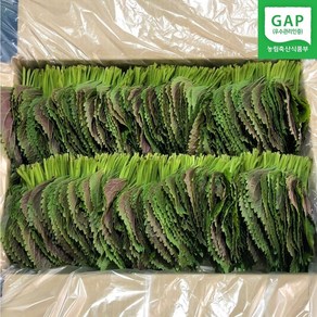 (GAP인증)500G/1KG 직접재배 당일수확 밀양깻잎, 500g, 1박스