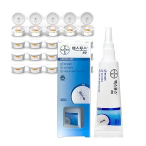 맥스포스퀀텀 30g+먹이캡 21개 개미약 여왕개미 퇴치, 1개, 30g