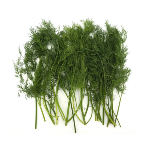 딜 Dill 100g 국내산 허브 향신료, 1개