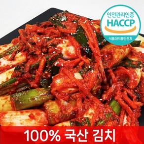 [전라도찐맛] 당일제조 대파김치, 1개, 3kg