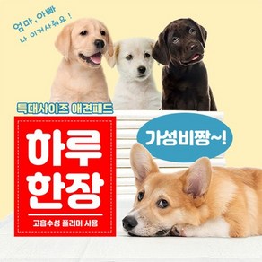 (하루한장) 대용량 애견패드 140cmx100cm-10매, 10개, 1개