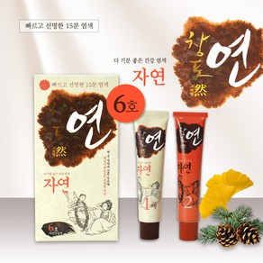 중외제약 창포연 자연 6호 자연진갈색 60g 친환경 프리미엄 새치염색약, 1개