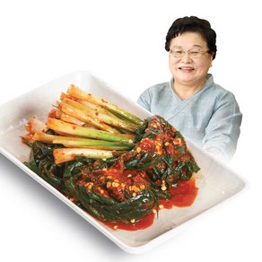 [강순의명가]파김치 1kg, 1000g, 1개