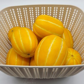 성주참외 2kg 3kg 5kg 과일선물 고당도 제철과일 꿀맛 참외 로얄과 중소과, 1박스, 참외 [3kg] 중소과