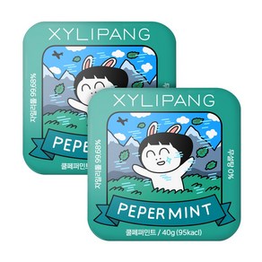 자일리팡 핀란드산 100% 자일리톨 사탕 쿨페퍼민트맛, 2개, 40g