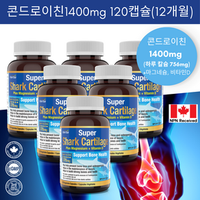 상어연골 콘드로이친 1400mg 120캡슐 콘드로이틴 저분자 어골 칼슘 마그네슘 비타민D 함유 허바 캐나다