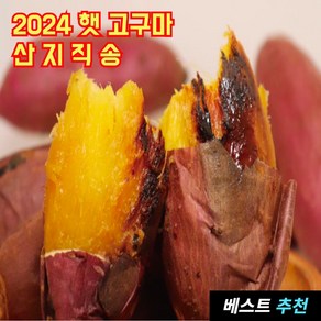 농부딸 해남 햇 꿀 고구마 산지직송 재구매율 1위 베니하루카 세척, 1박스, 3kg