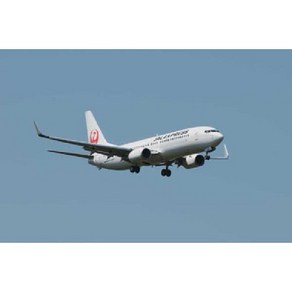 Hasegawa 하세가와 10739 1/200 JAL 익스프레스 보잉 737-800 [1/200 스케일 프라모델], 단일, 1개