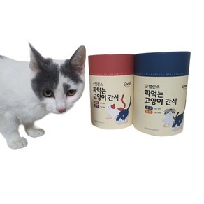 굿밸런스 짜먹는 고양이 간식 굿벨런스 대용량 츄르 추르 쭈르 쮸르 잇쮸 잇쭈, 굿밸런스 참치20p + 치킨20p + 연어20p, 1개