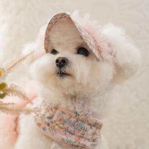 베일리 강아지 고양이 선캡 여름 애견모자 반려견산책용 에블린 썬캡, 핑크, 1개