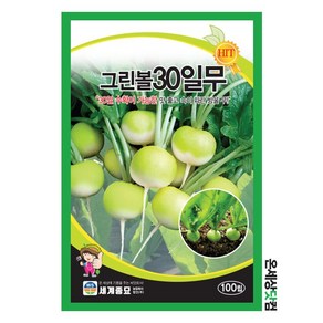 그린볼 30일무 100립 / 무씨앗 무우씨 이색무 베란다텃밭, 1개