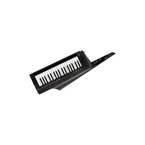 KORG 코르그 - KEYTAR 숄더 키보드 RK-100S 2 블랙 RK-100S2-BK