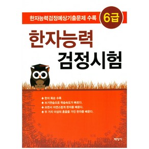 한자능력 검정시험 6급:한자능력검정예상기출문제 수록, 배영사