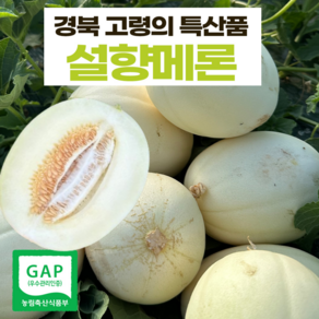 고령 설향메론 메론 고당도 2kg 3kg 5kg, 1박스, 설향메론 3kg (4-8과)