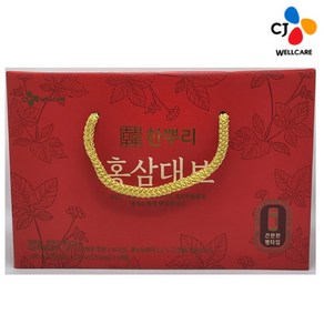 씨제이 한뿌리 홍삼대보, CJ 한뿌리 홍삼대보 100ml x 20병, 20개, 100ml