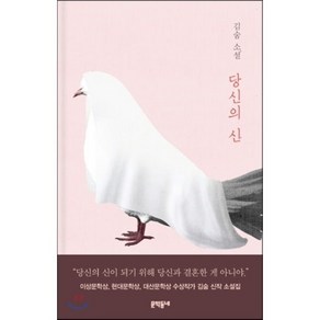 당신의 신, 김숨 저, 문학동네