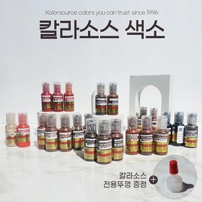 칼라소스 색소 (전용뚜껑 증정), 1개, 다크비치우드#9113