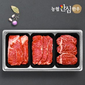 [농협안심한우] 1등급 감사로스세트 (등심+채끝+안심)팩당400g총 1.2kg, 1개