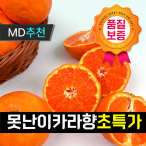 [레스토랑납품] 초특가진행 산지직송 새콤달콤 맛있는 고당도 제주 못난이 카라향, 1박스, 못난이 카라향 혼합과 10kg